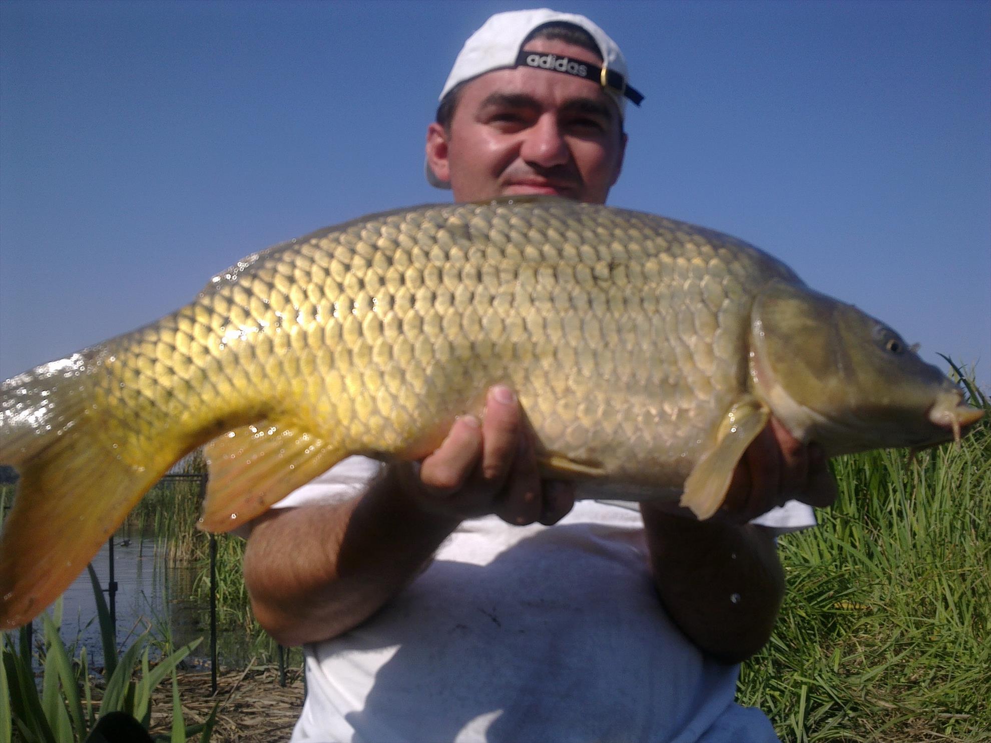 catch & release - 250820102231.jpg